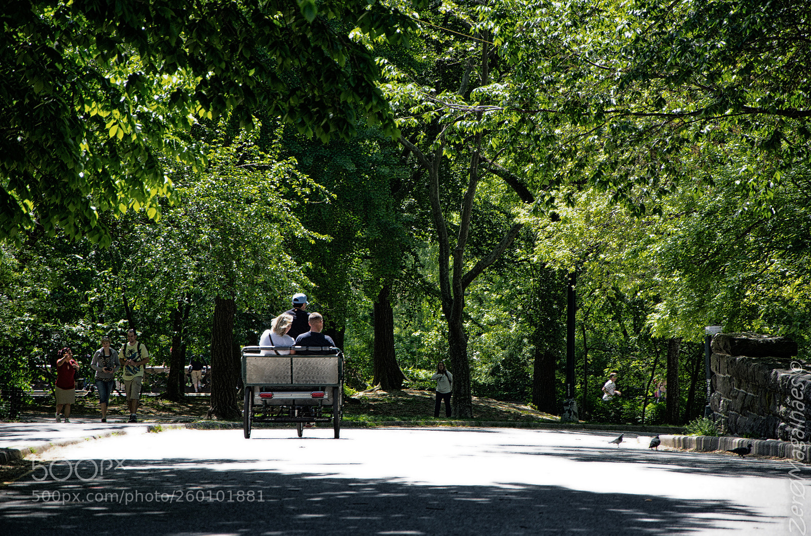 Nikon D7000 sample photo. Untitled photography