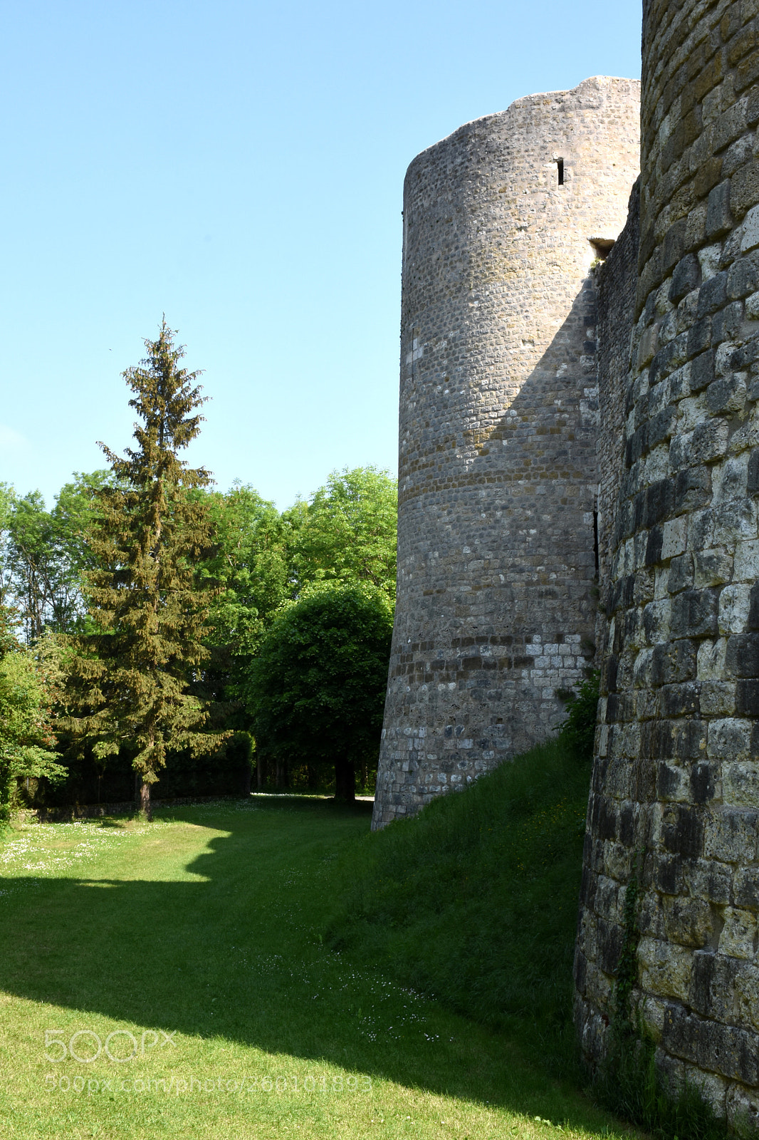 Nikon D7200 sample photo. Ye vre le chatel photography