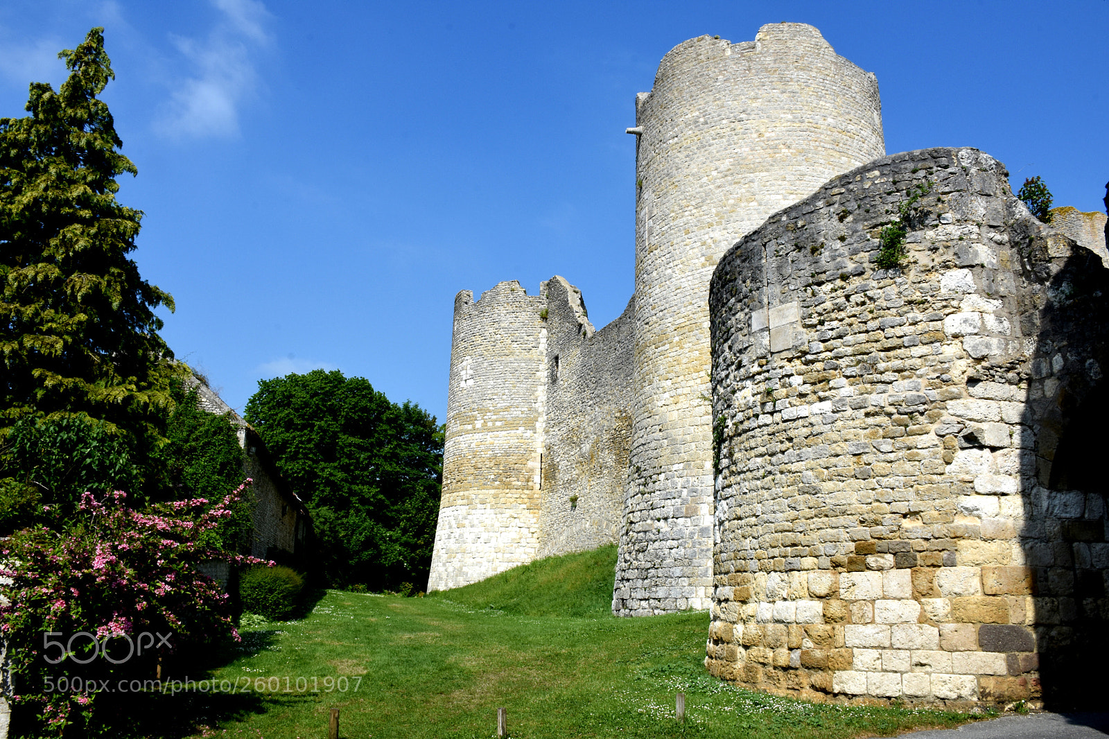 Nikon D7200 sample photo. Ye vre le chatel photography