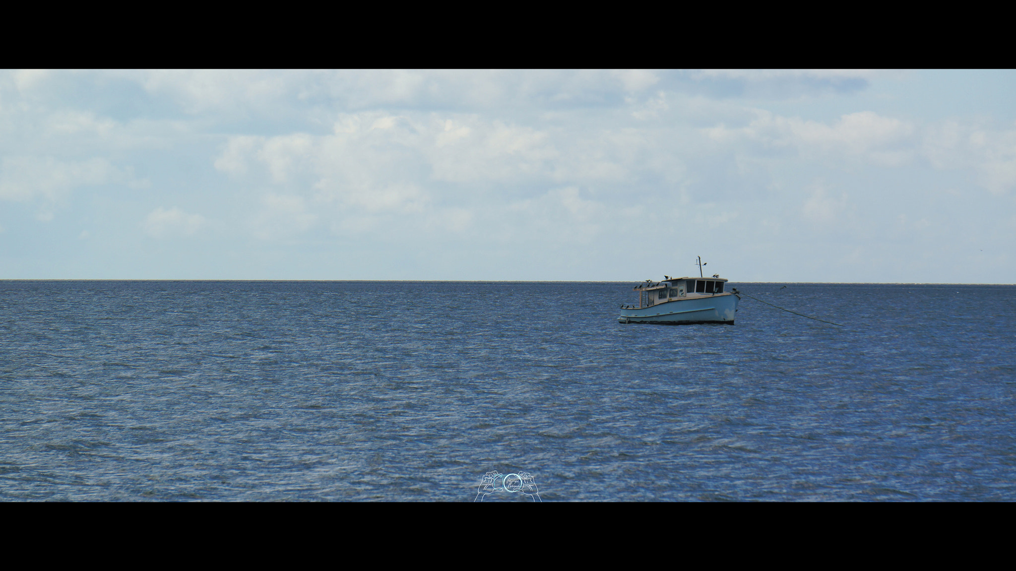 Sony Alpha NEX-5R sample photo. String attached. photography