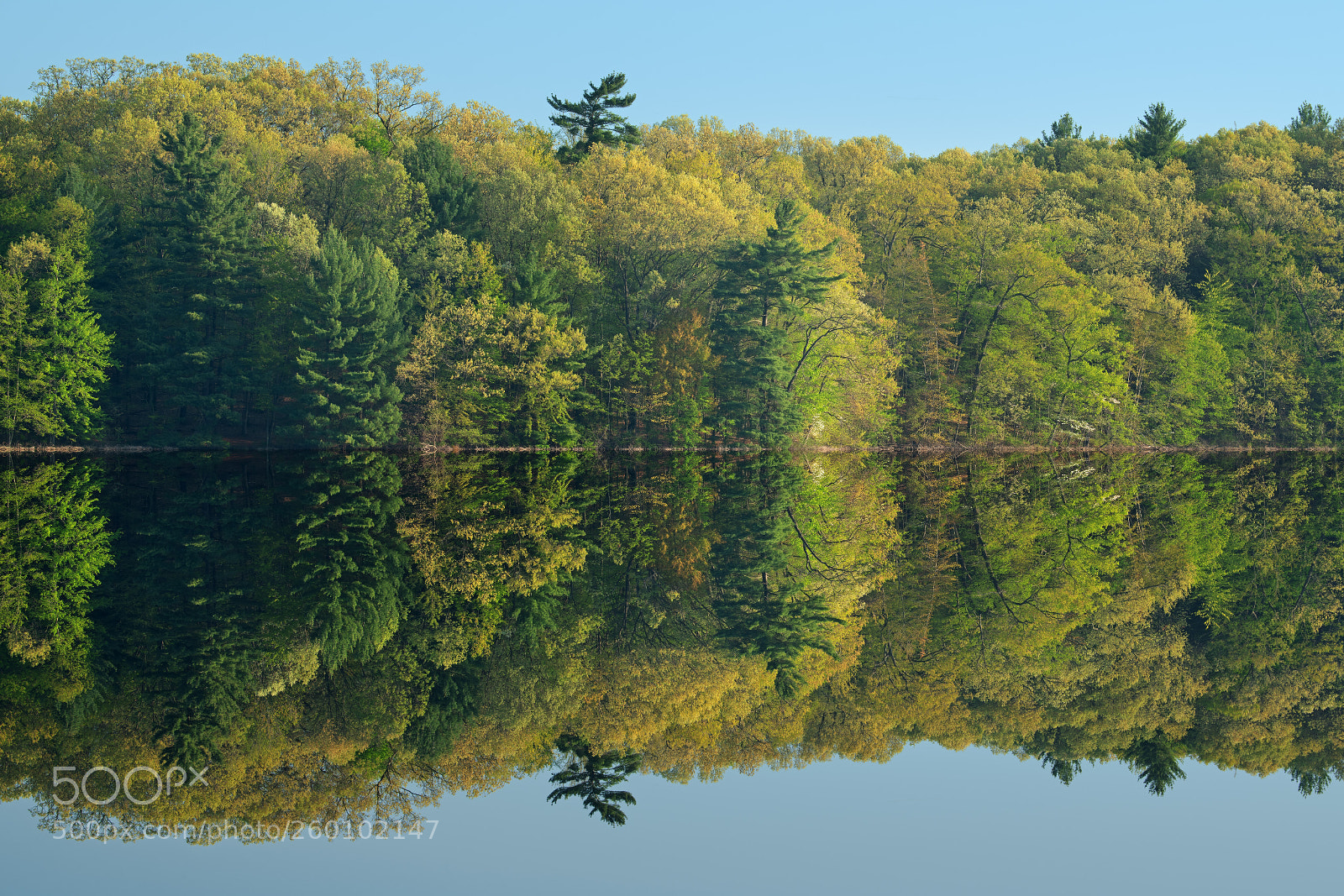 Nikon D850 sample photo. Spring reflections hall lake photography