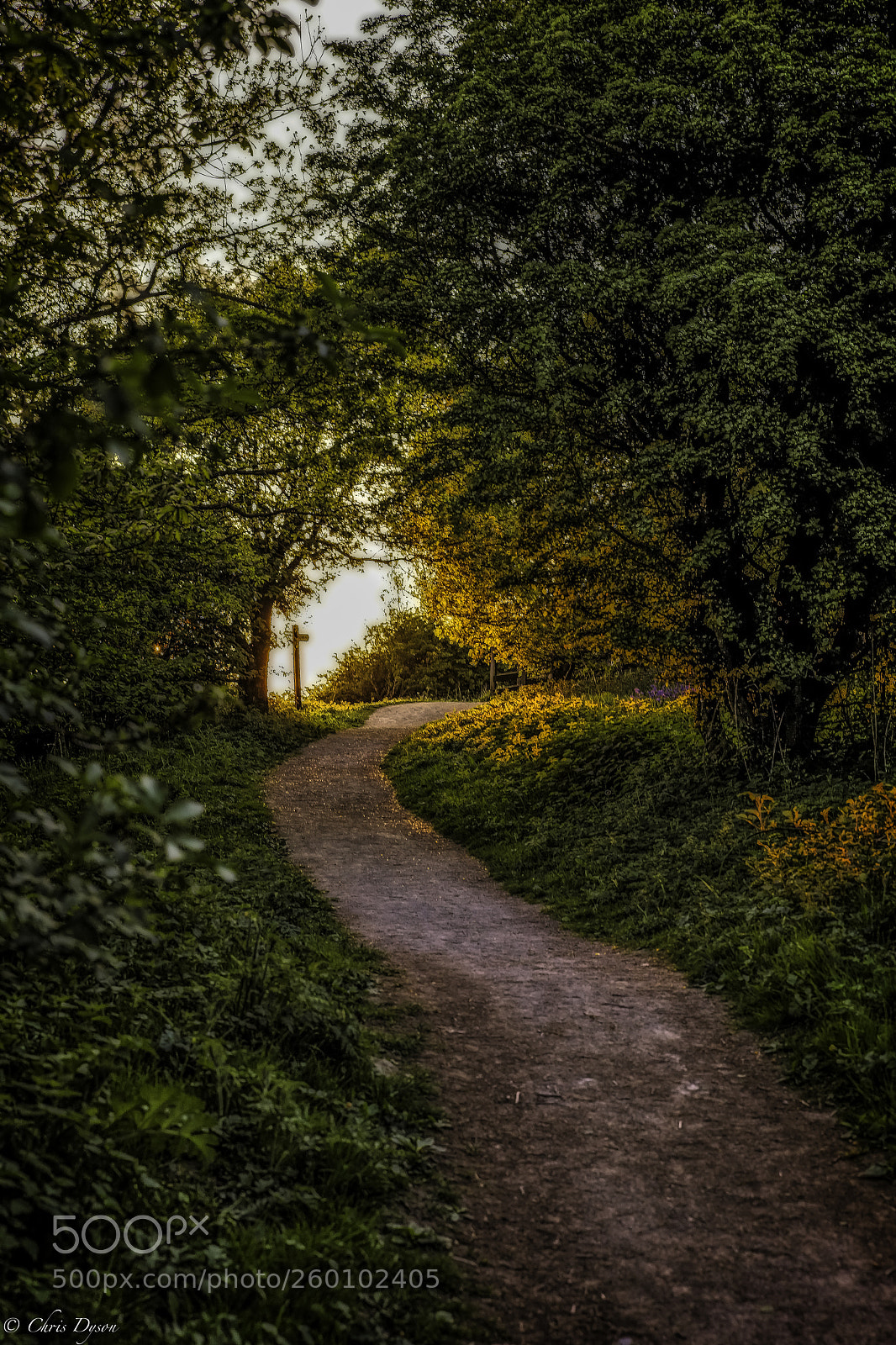 Canon EOS 5D Mark IV sample photo. Sutton bank photography