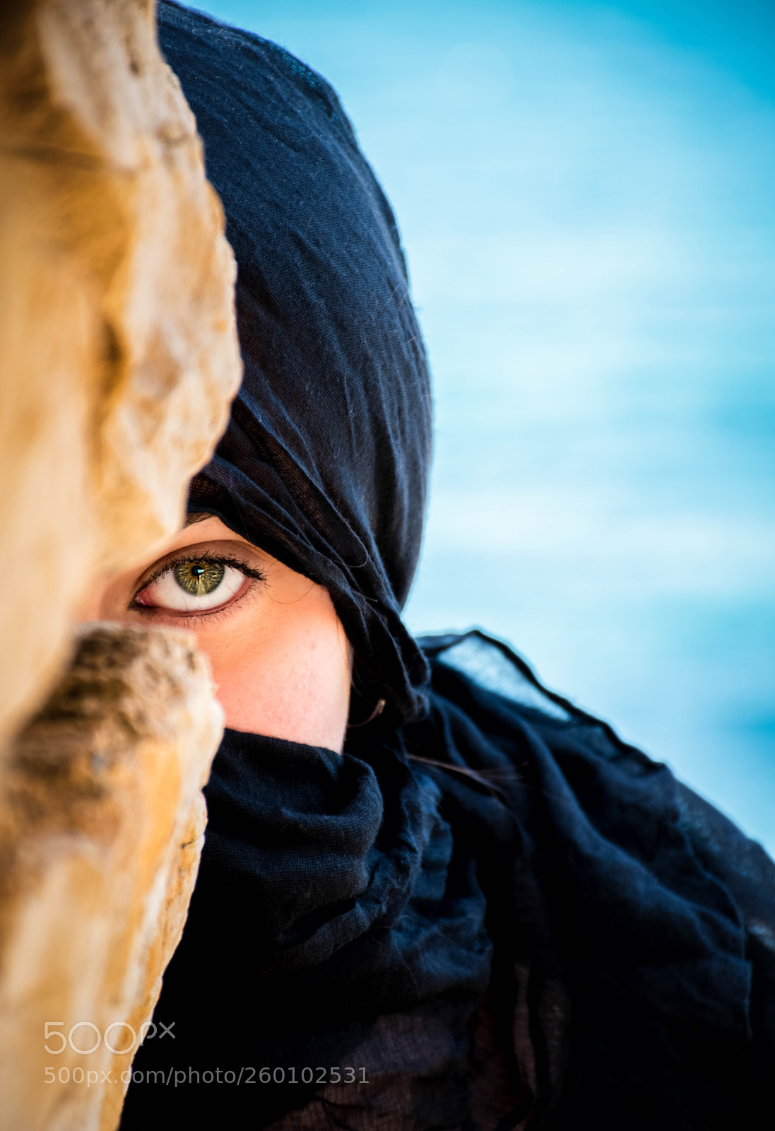 Nikon D5500 sample photo. The eye photography