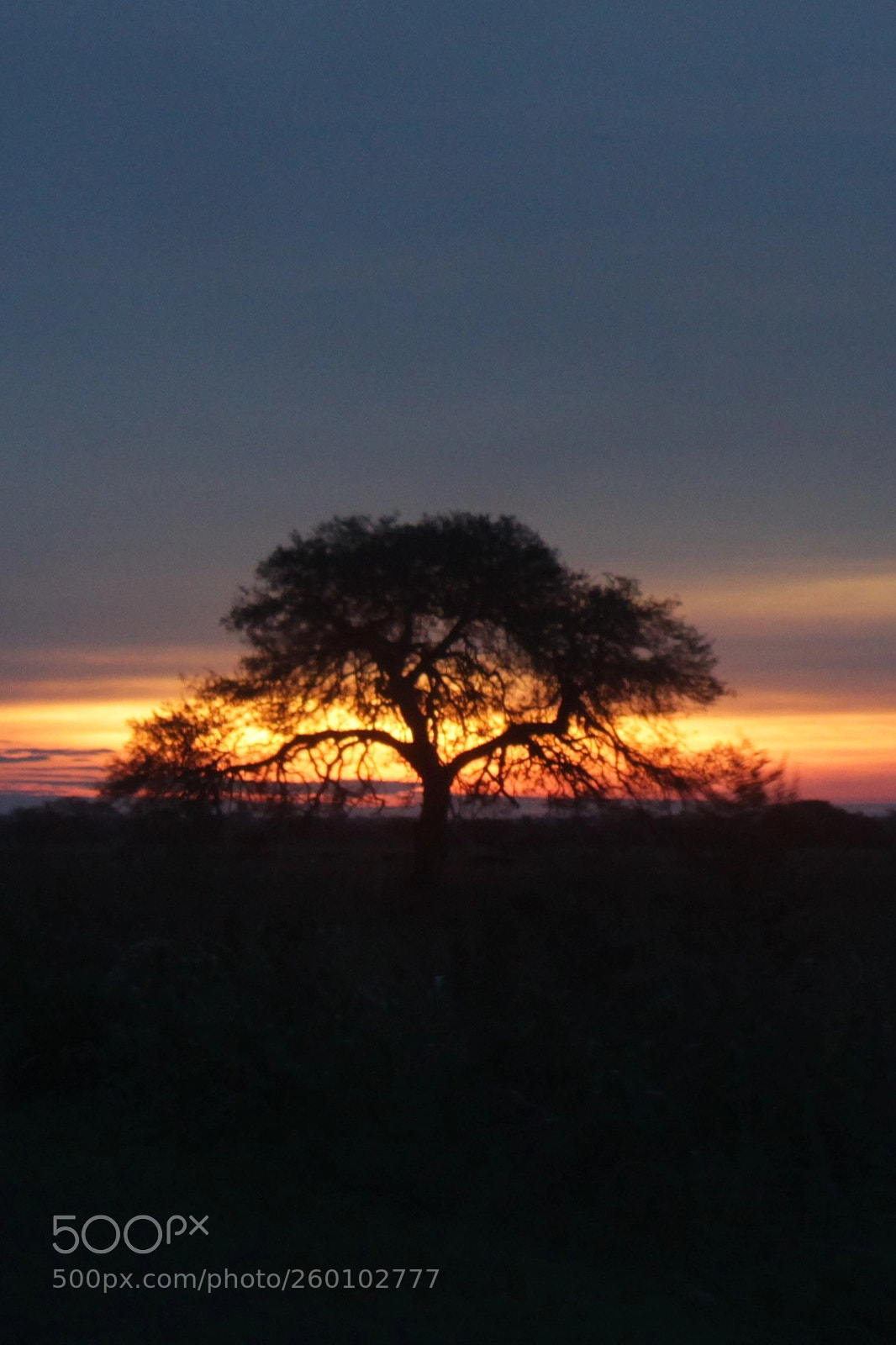 Canon EOS 1200D (EOS Rebel T5 / EOS Kiss X70 / EOS Hi) sample photo. Atardecer... photography