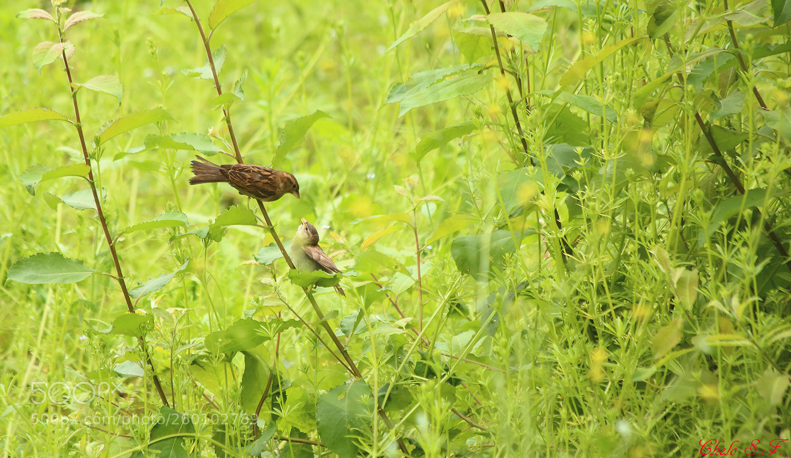 Canon EOS 6D sample photo. Untitled photography