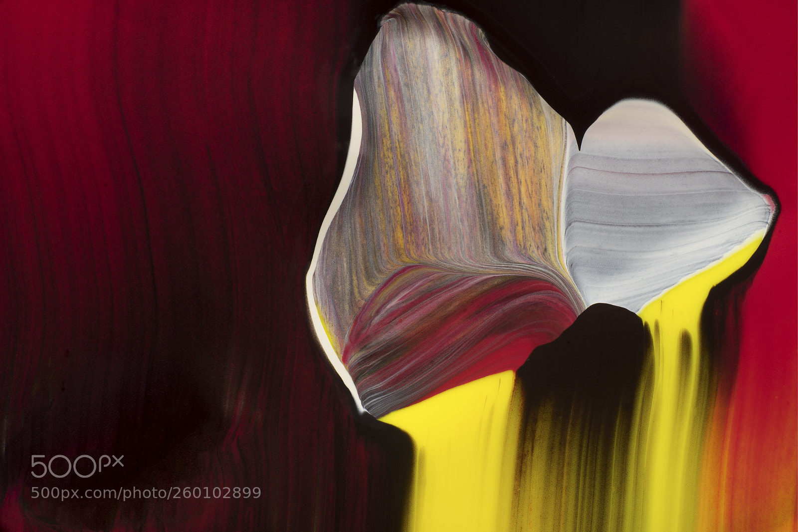 Sony a7R sample photo. Plate 2093 photography