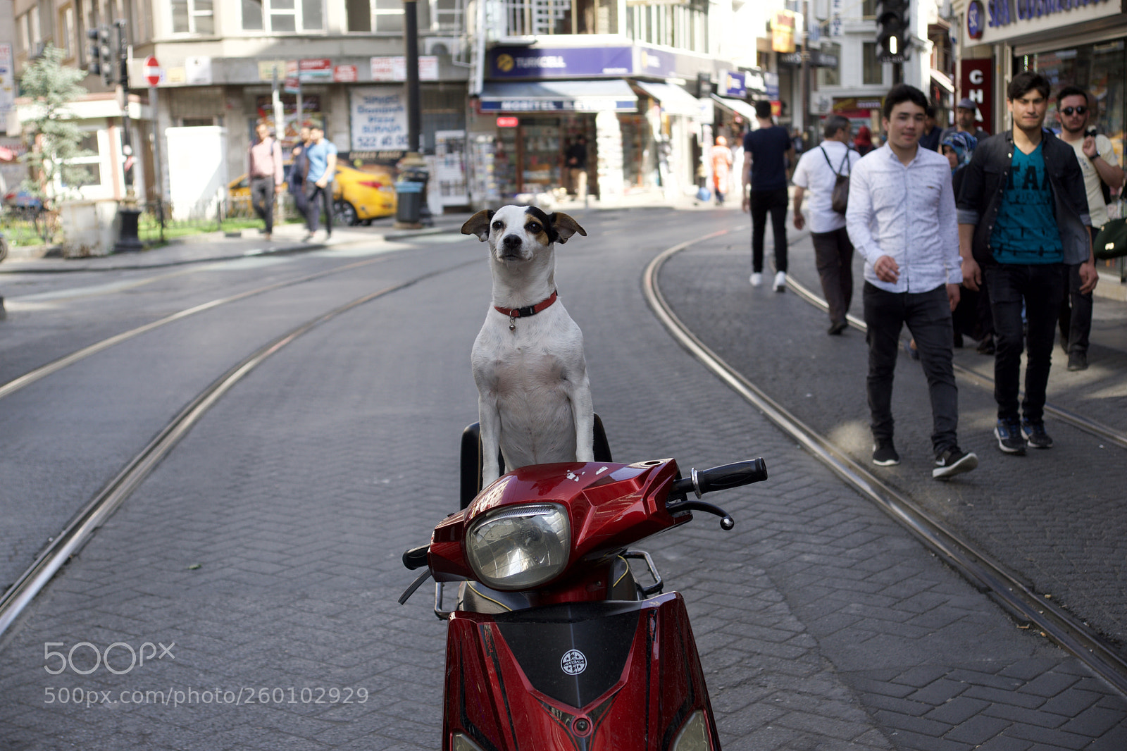 Sony ILCA-77M2 sample photo. Istanbul photography