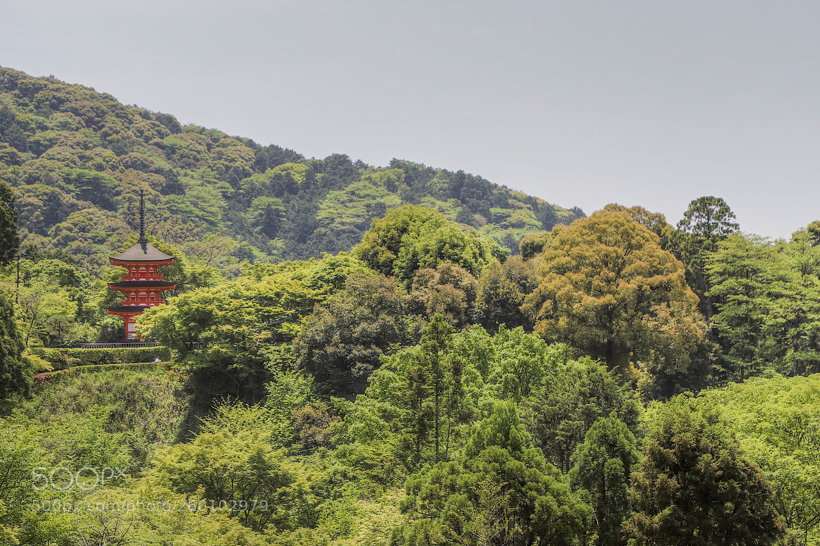 Canon EOS 6D Mark II sample photo. The temple photography