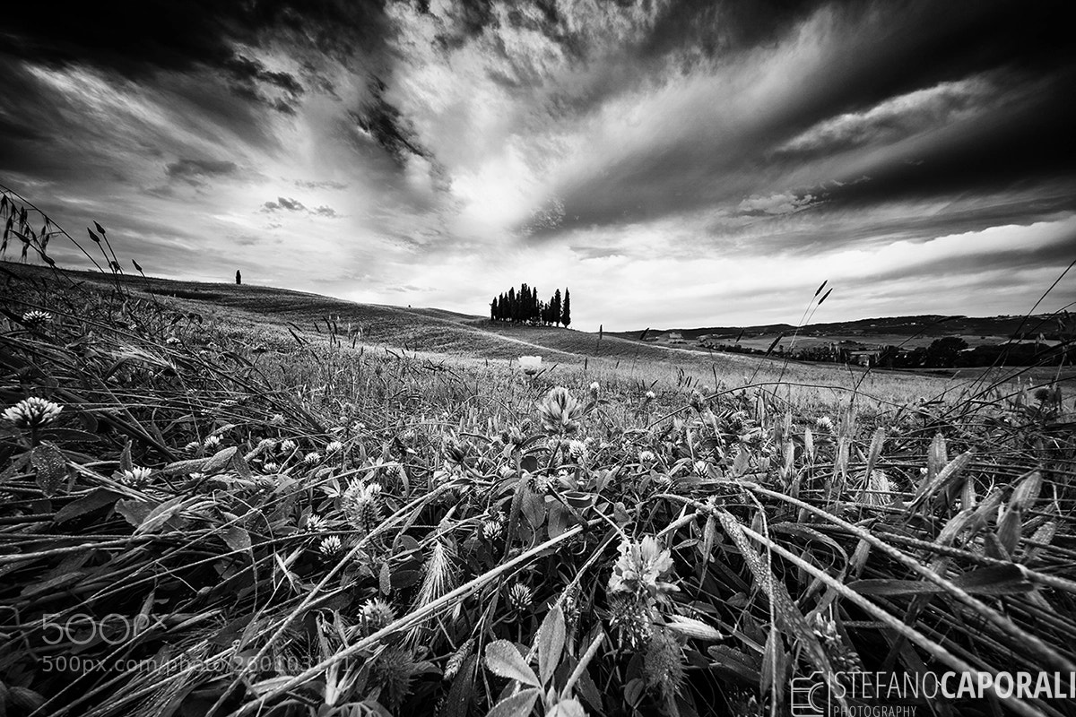 Sony a7 III sample photo. Tuscany photography