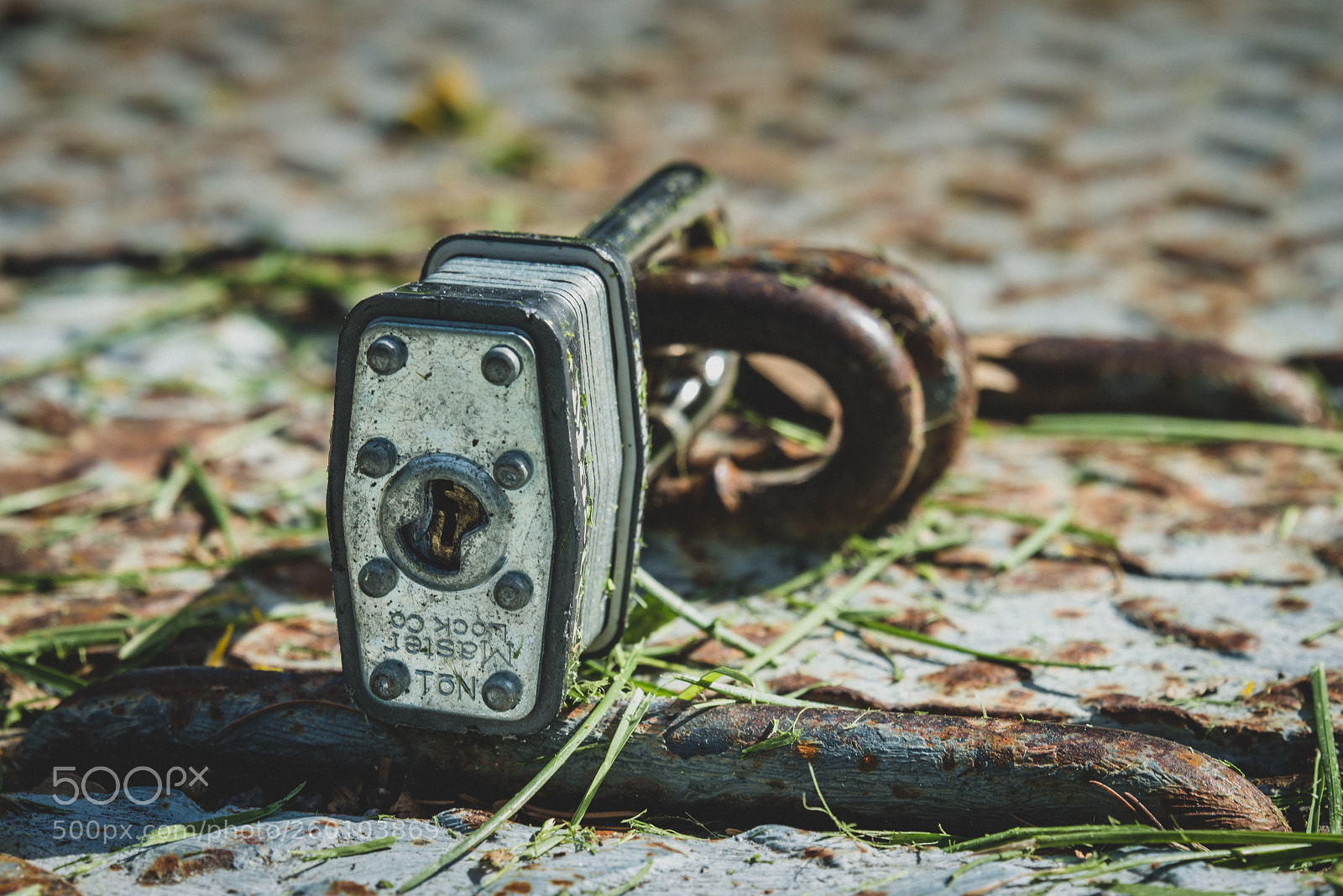 Nikon D610 sample photo. A padlock lost in photography