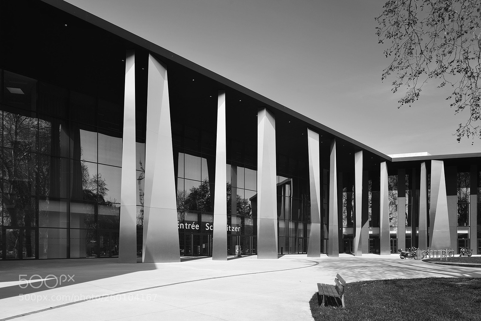 Nikon D800 sample photo. Pmc strasbourg #8 photography
