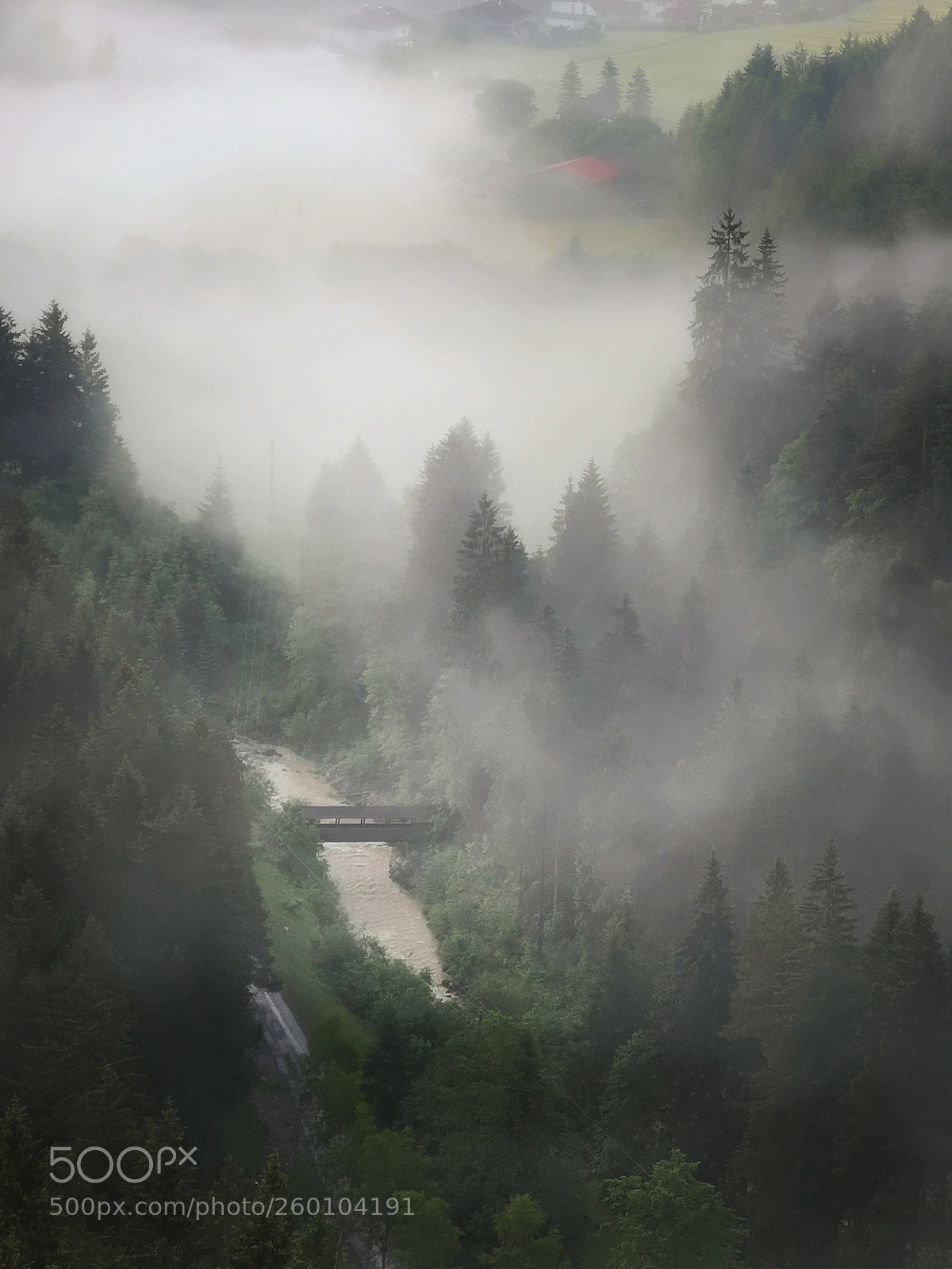 HUAWEI CLT-L29 sample photo. Foggy photography