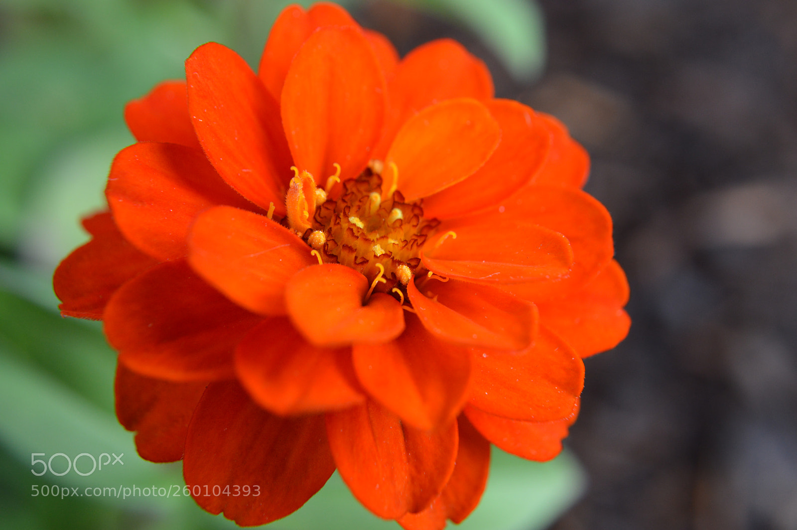 Nikon D3200 sample photo. Lighten up! photography