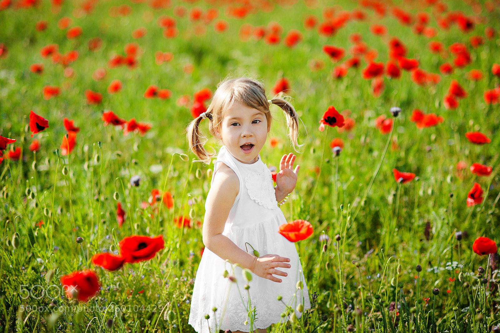 Nikon D700 sample photo. Portrait of an adorable photography