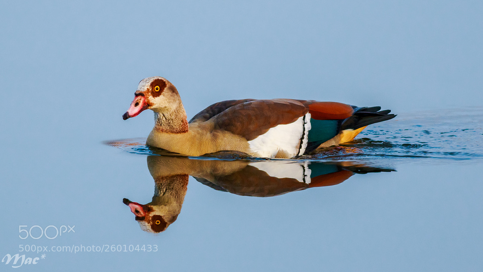 Canon EOS 7D Mark II sample photo. Colors on a mirror photography
