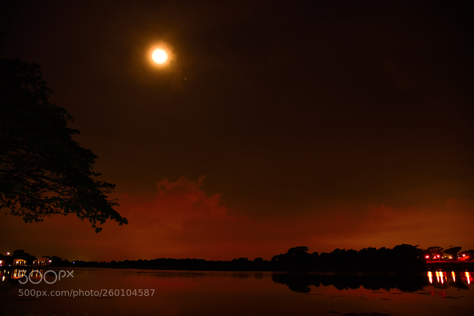 Nikon AF-S Nikkor 24-120mm F4G ED VR sample photo. Lower seletar reservoir photography