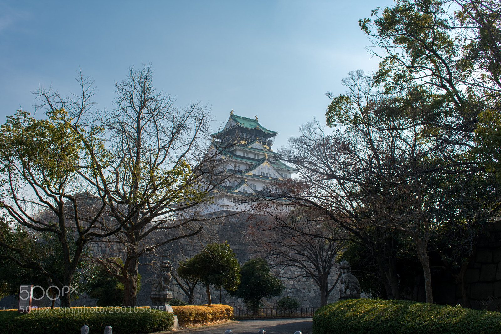 Nikon D3400 sample photo. Osaka castle photography