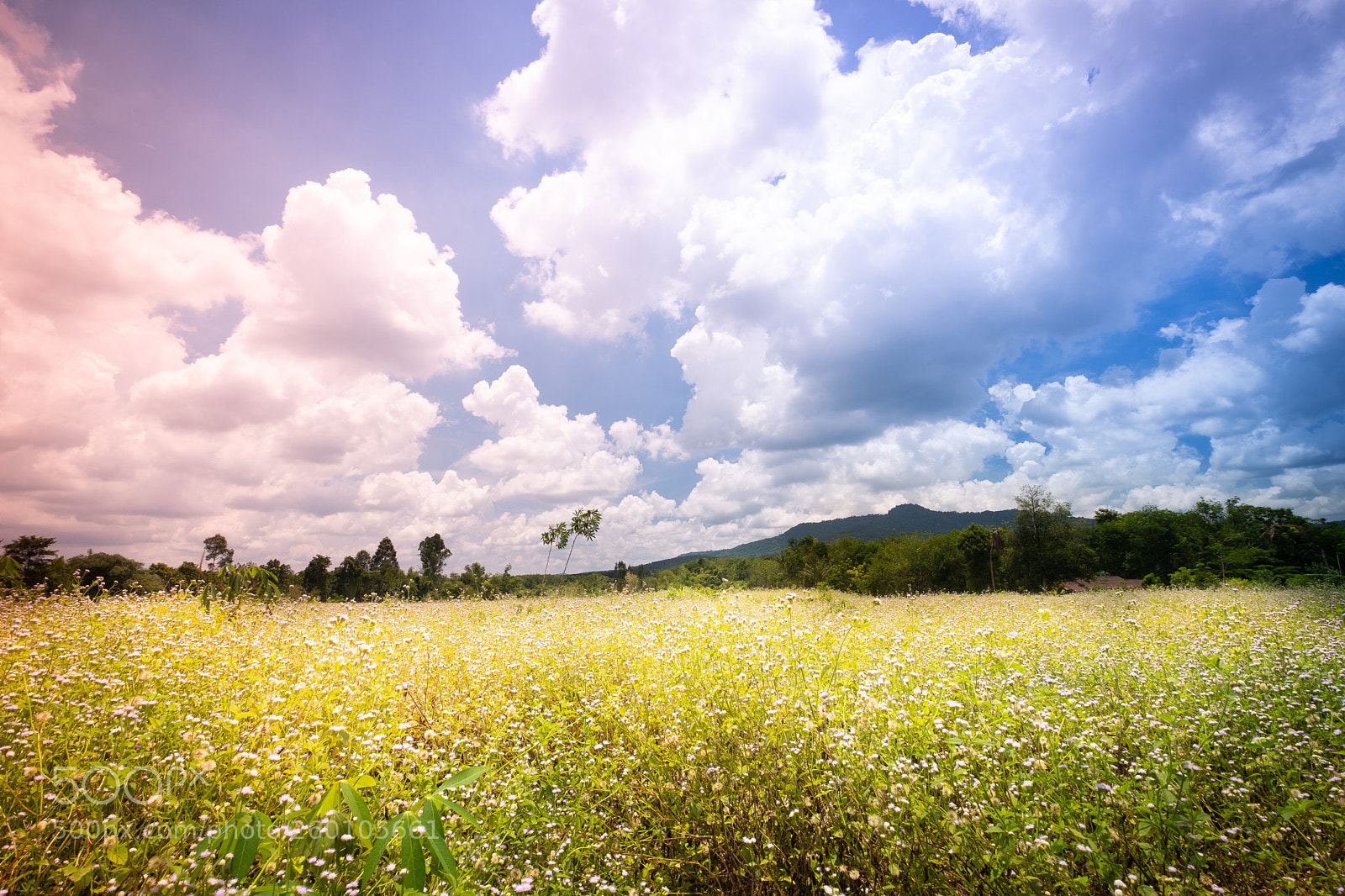 Fujifilm X-T2 sample photo. Color of heaven photography