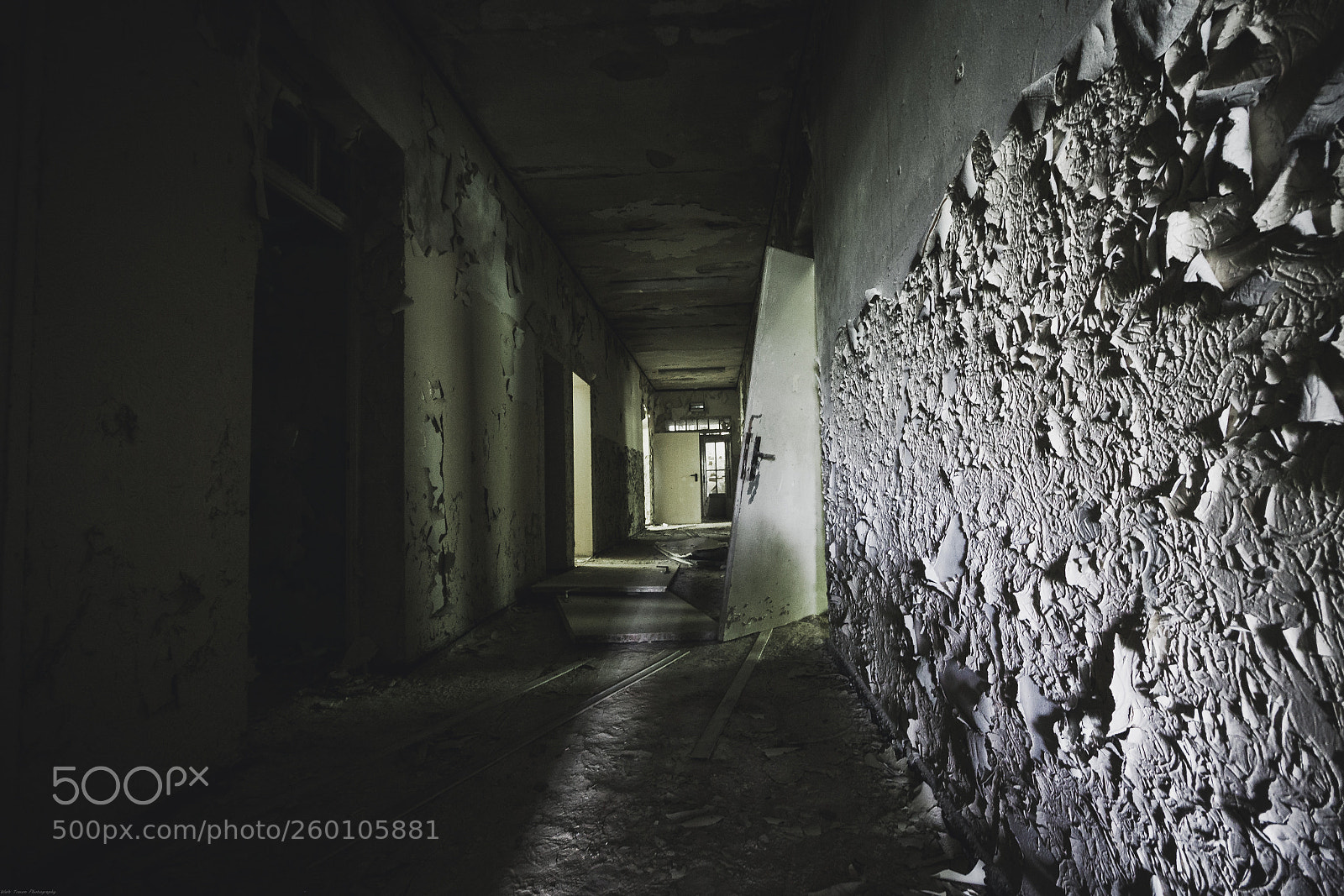 Canon EOS 50D sample photo. | falling memory | photography