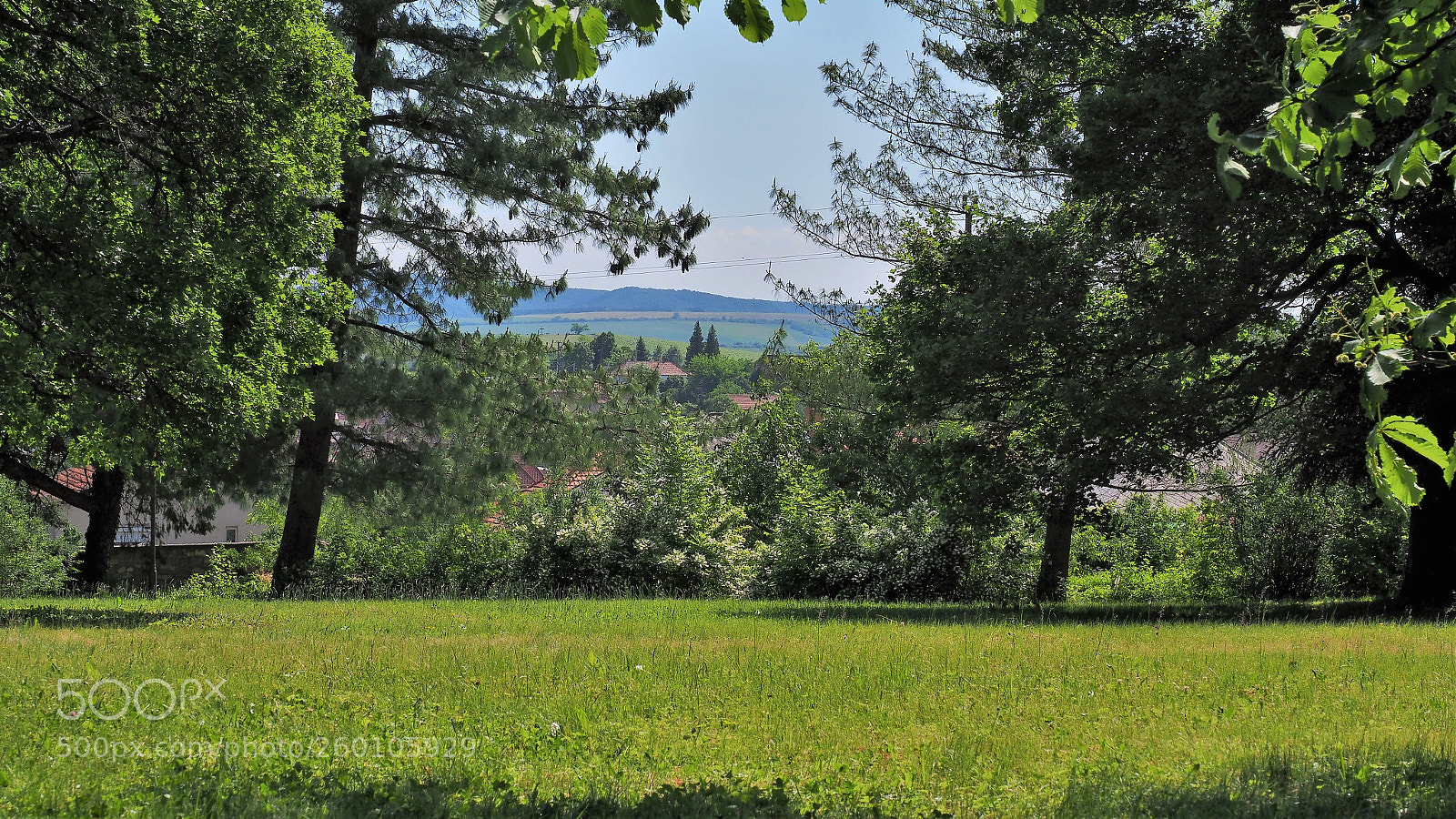 Olympus OM-D E-M1 Mark II sample photo. Perspective photography