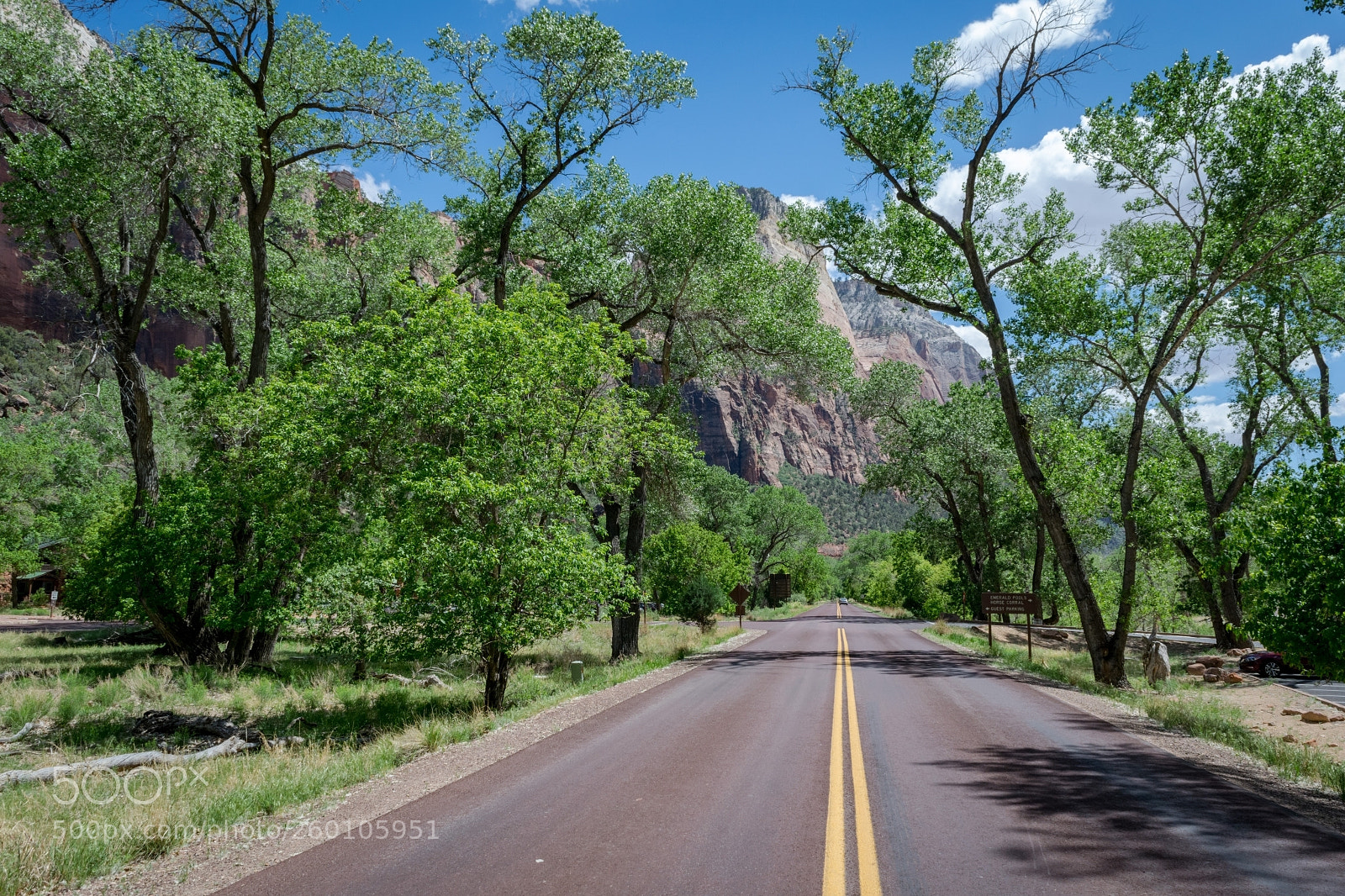 Nikon D5300 sample photo. The road photography