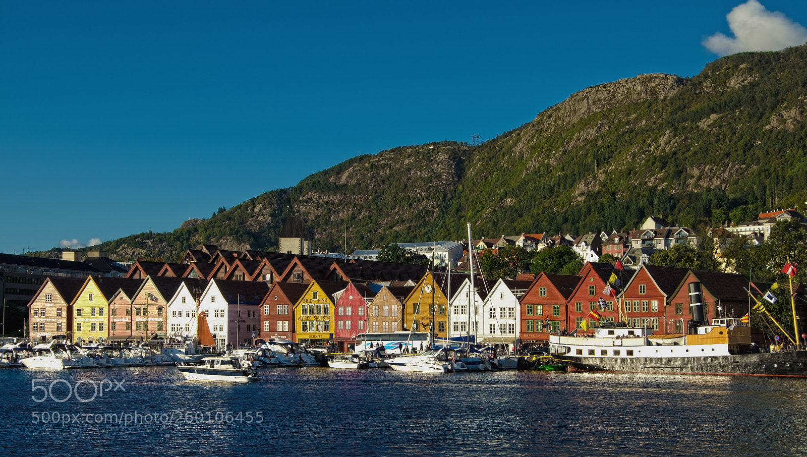Nikon D5100 sample photo. Colourful houses of bergen photography