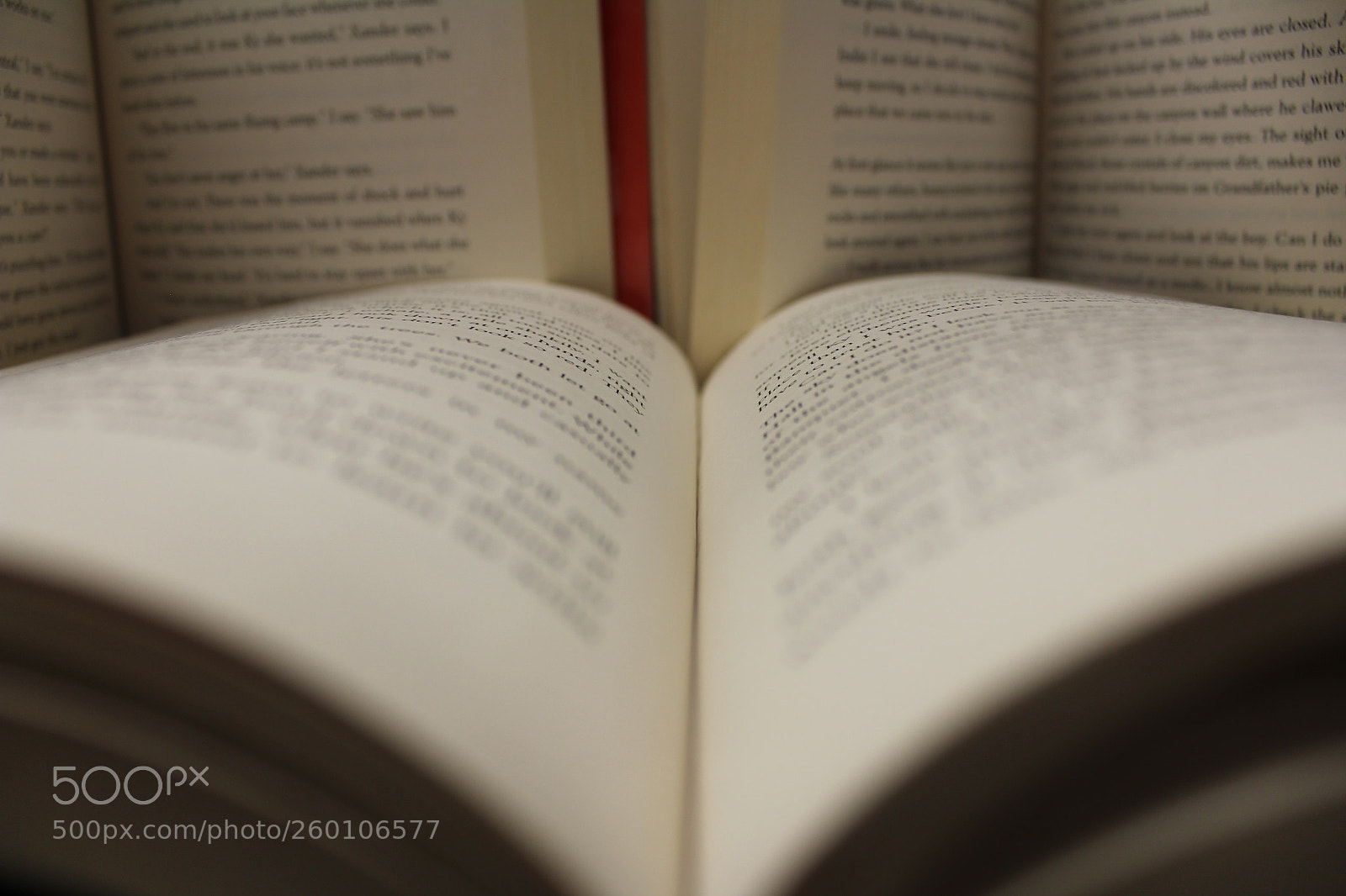 Canon EOS 1200D (EOS Rebel T5 / EOS Kiss X70 / EOS Hi) sample photo. Tunnel through fantasy photography