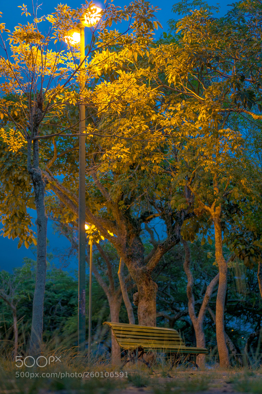 Sony a6000 sample photo. Mirante do pasmado photography
