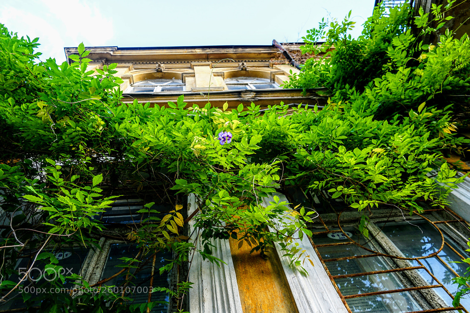 Sony a6300 sample photo. Dsc photography