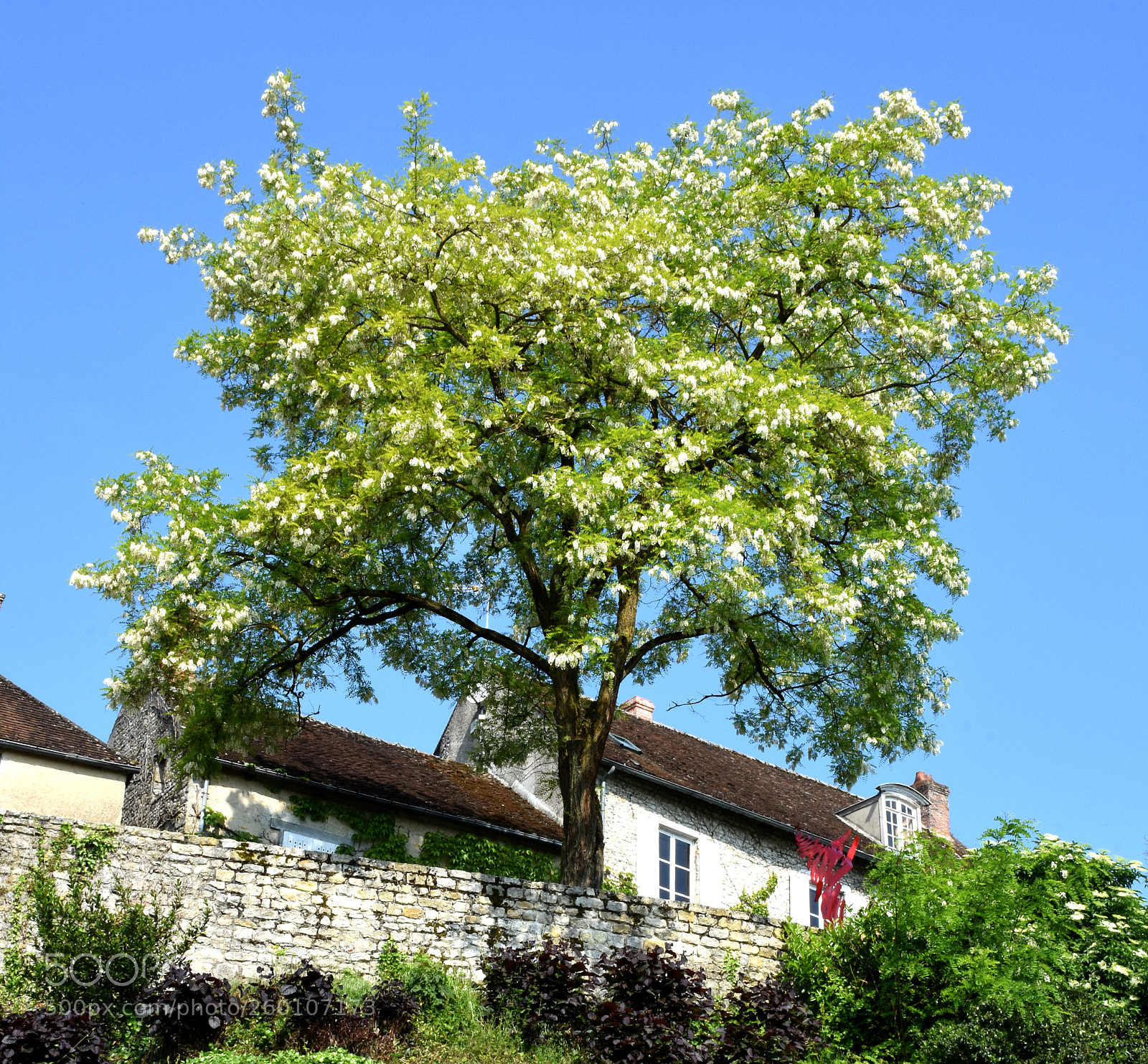 Nikon D7200 sample photo. Ye vre le chatel photography
