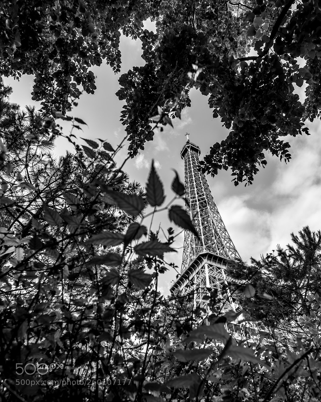Nikon D750 sample photo. Hidden view to eiffel photography