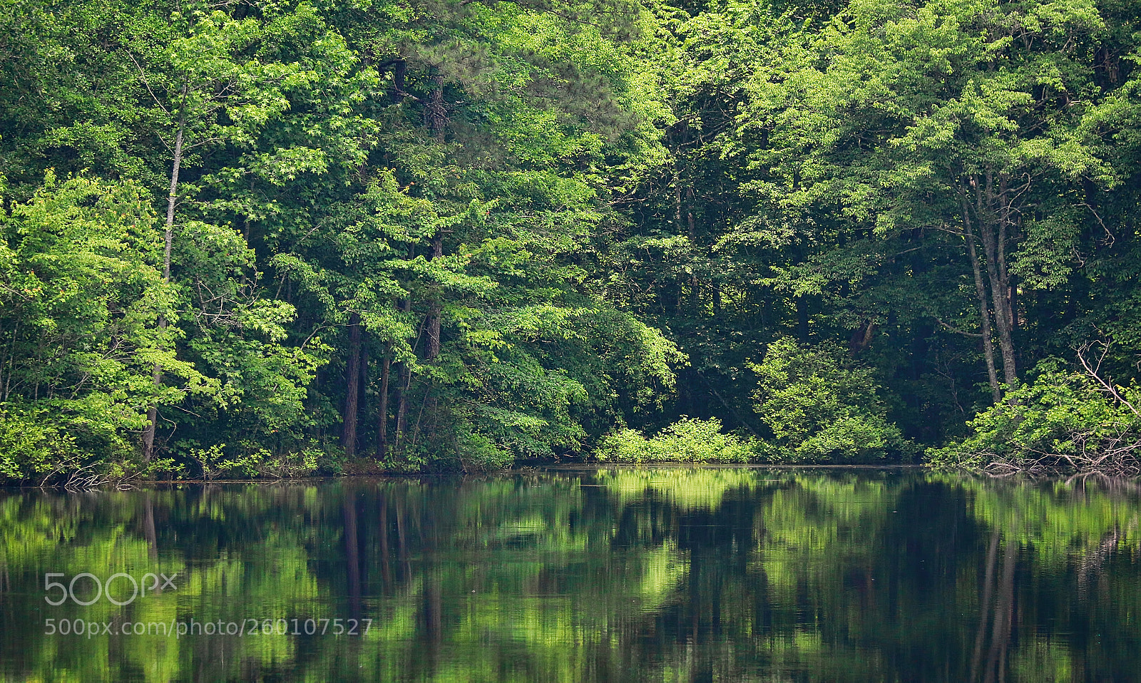 Canon EOS 70D sample photo. Reflection photography