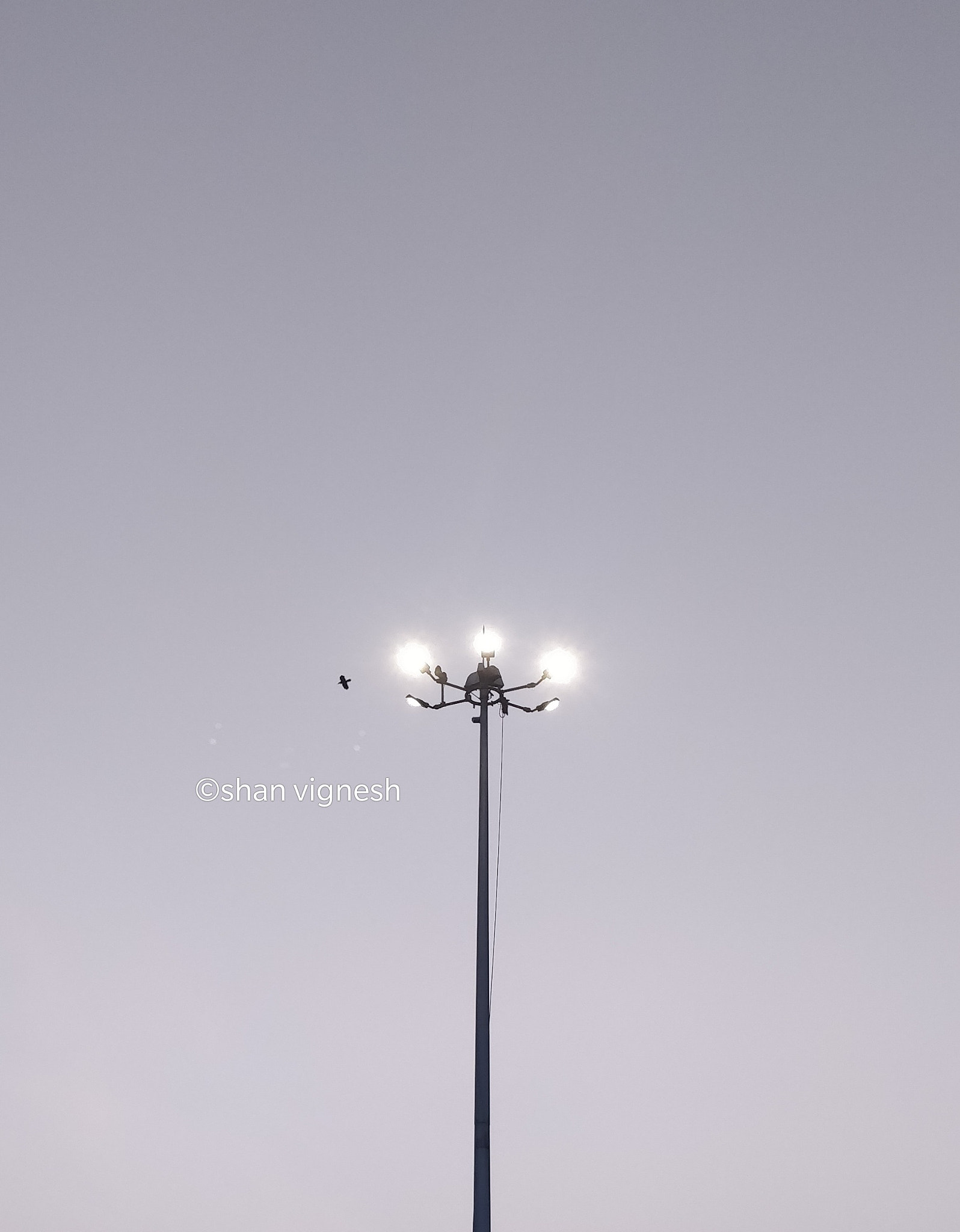OnePlus 5T sample photo. Fly😍😍 photography