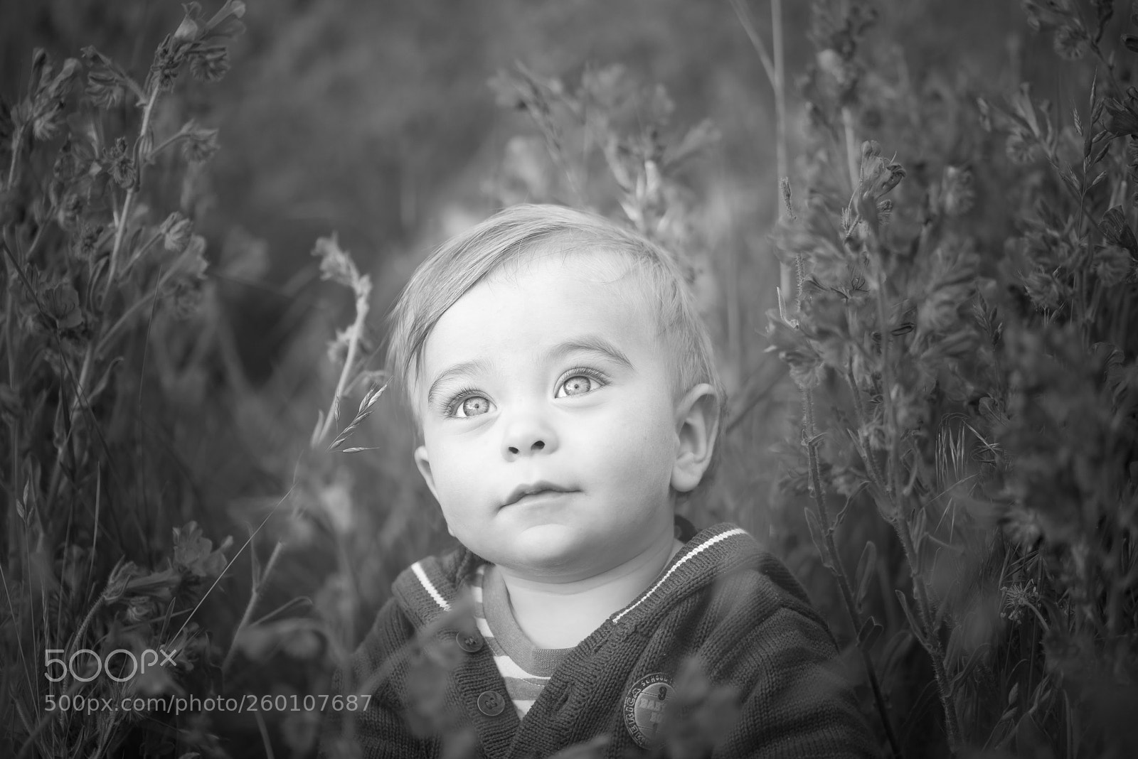 Nikon D800 sample photo. Hope photography