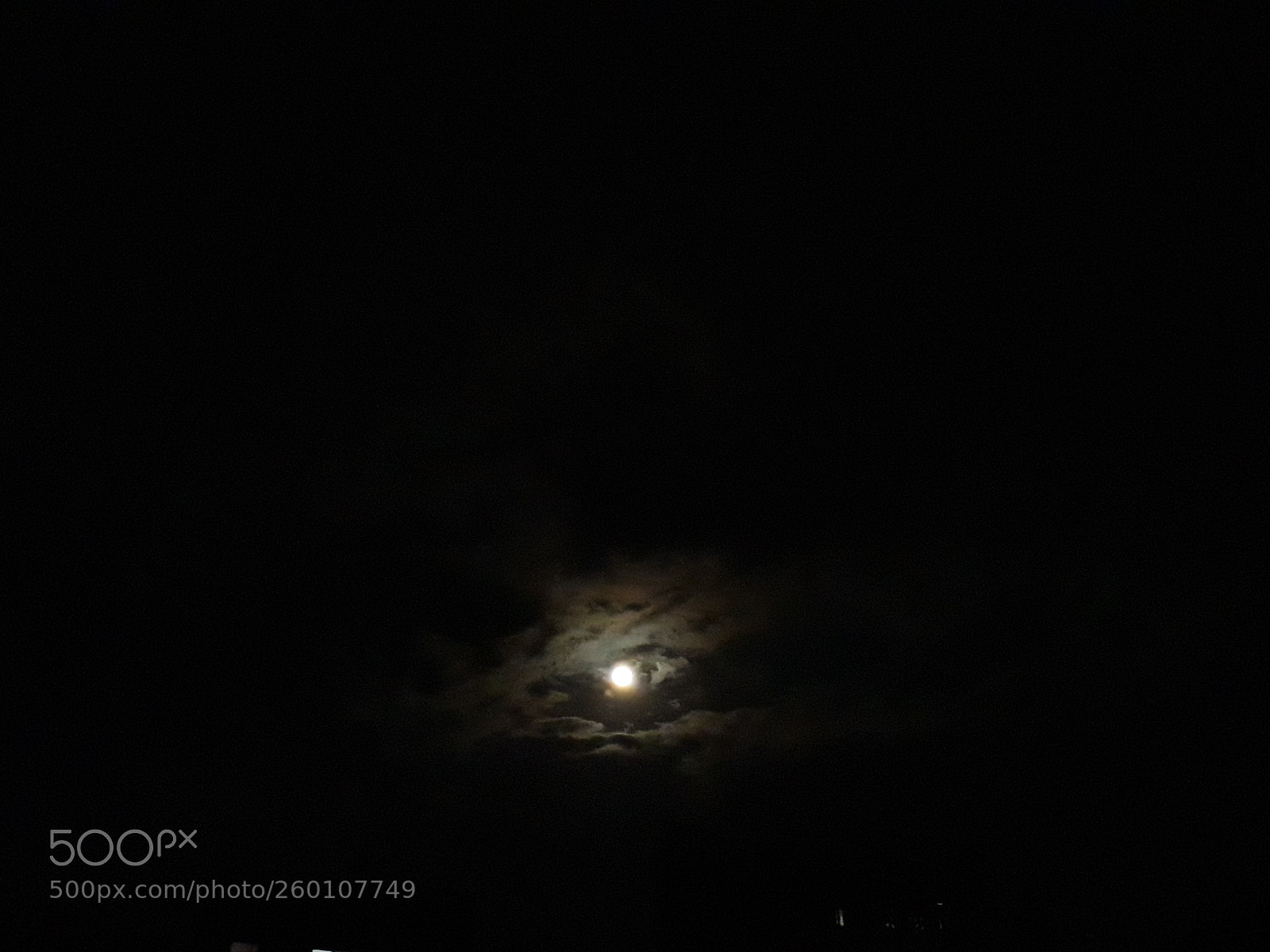 Samsung Galaxy S9+ sample photo. Untitled photography