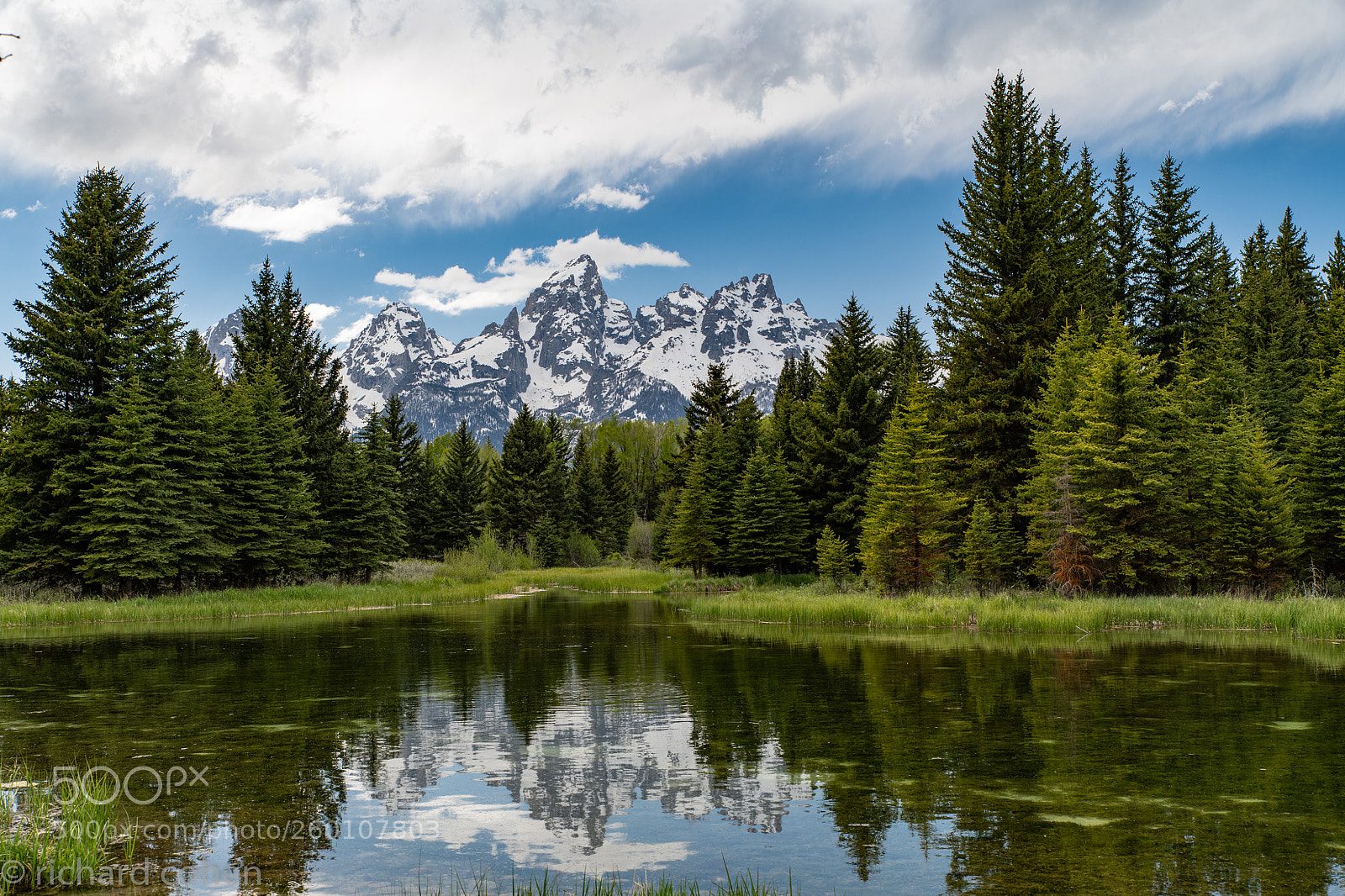 Nikon D850 sample photo. Schwabaher landing grand tetons photography