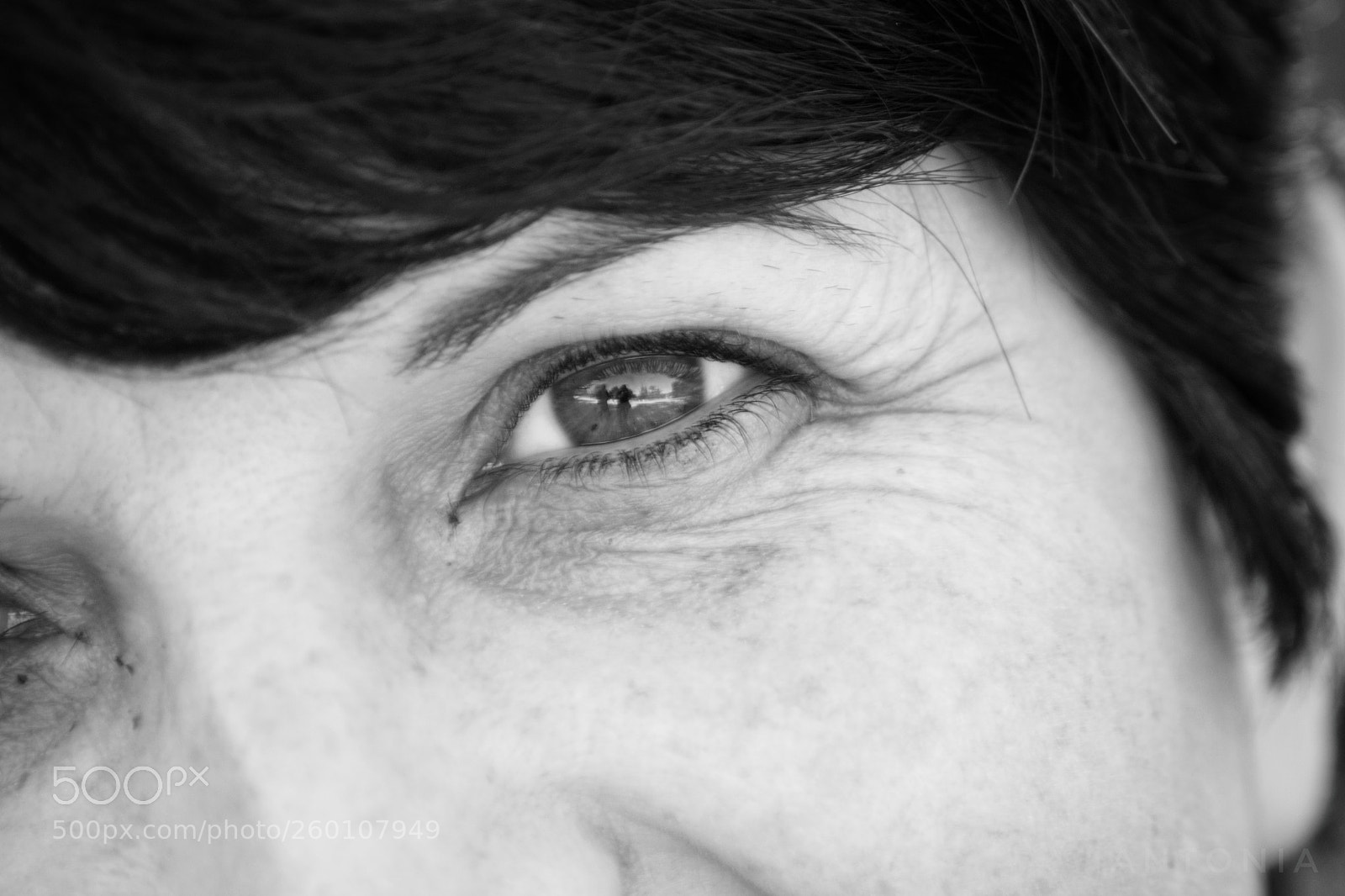 Nikon D7200 sample photo. Untitled photography
