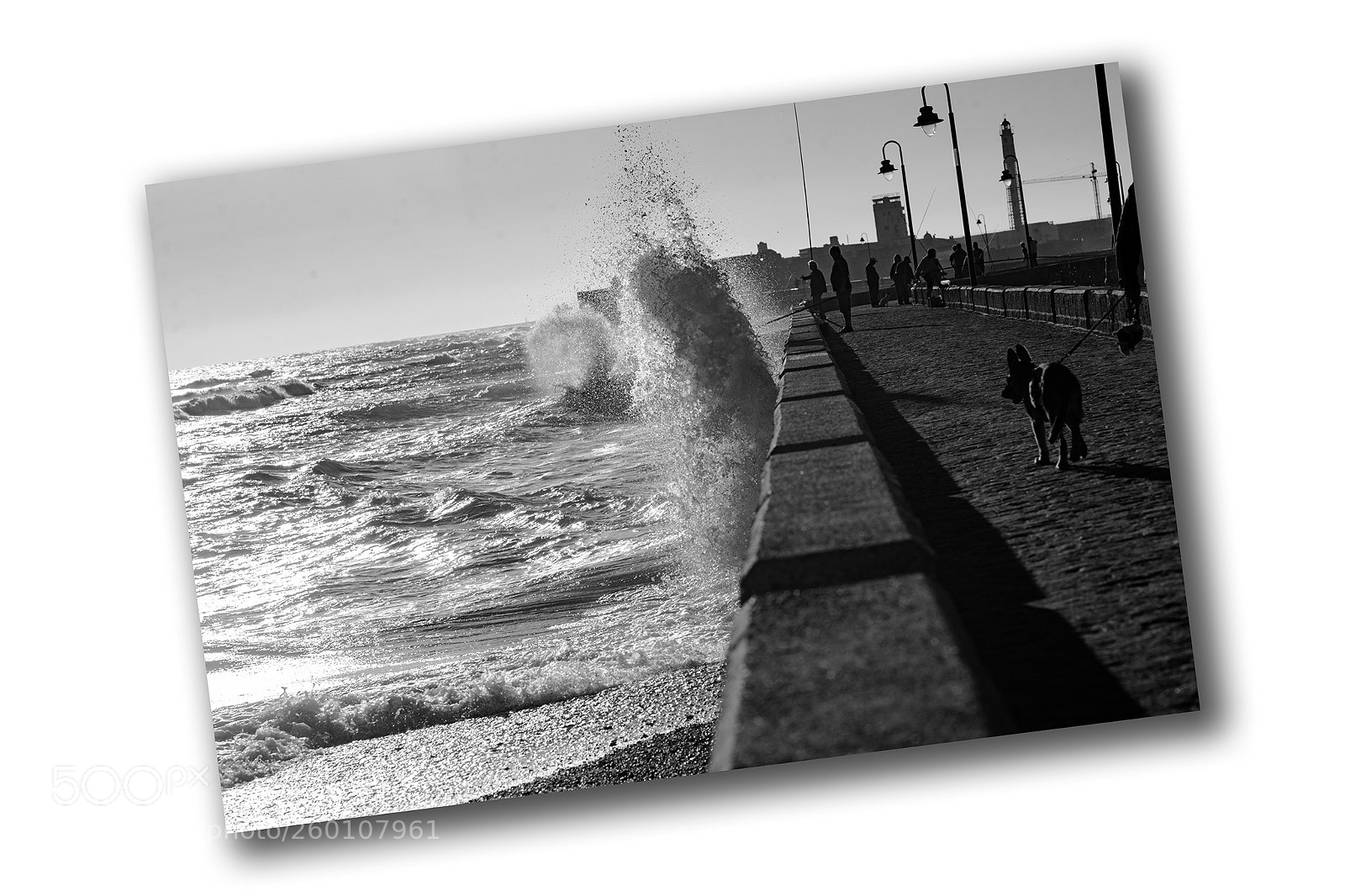 Canon EOS 5D Mark II sample photo. Viento en la caleta photography