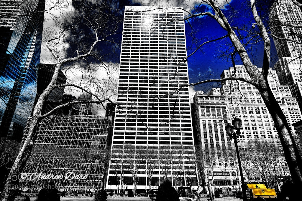 Nikon D810 sample photo. Bryant park photography