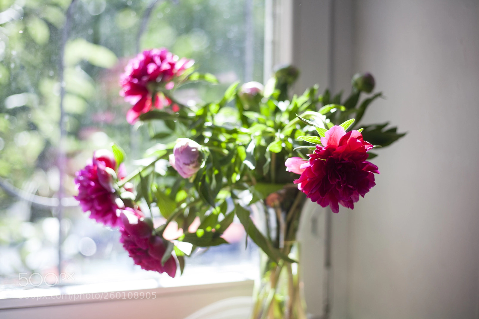 Canon EOS 5D Mark II sample photo. Summer mood. peonies photography