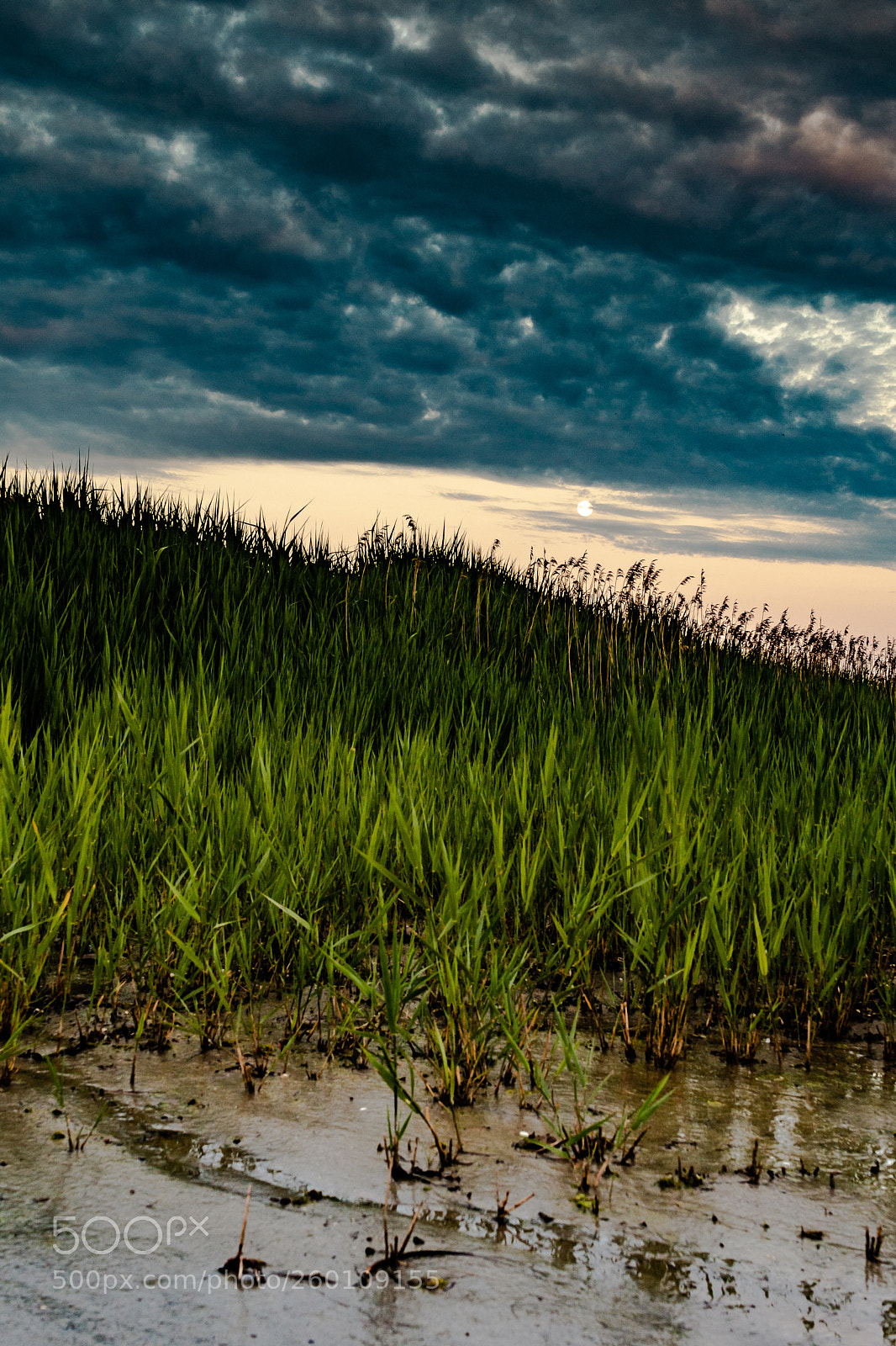 Nikon D500 sample photo. Beach and sky photography