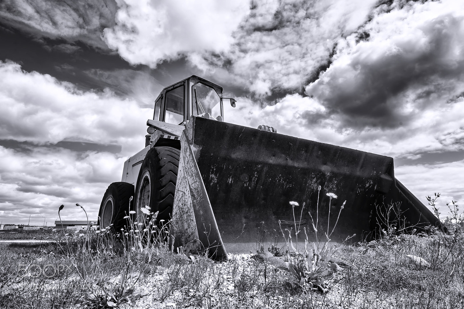Nikon D800 sample photo. St photography