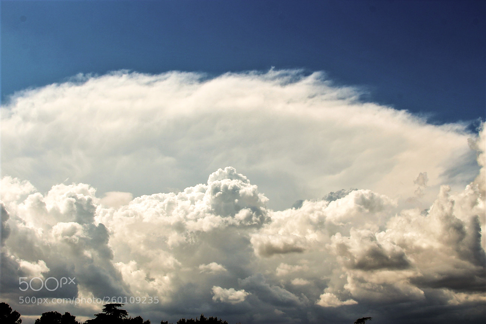 Canon EOS 600D (Rebel EOS T3i / EOS Kiss X5) sample photo. Edited photography