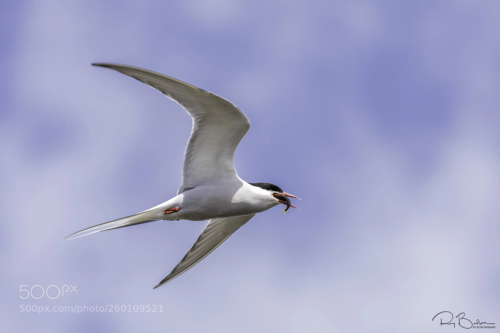 Canon EOS 5D Mark IV sample photo. Fishing photography