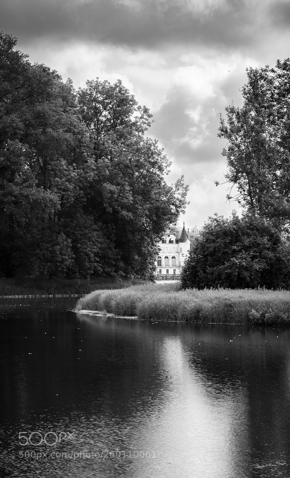 Nikon D500 sample photo. Le château caché. photography