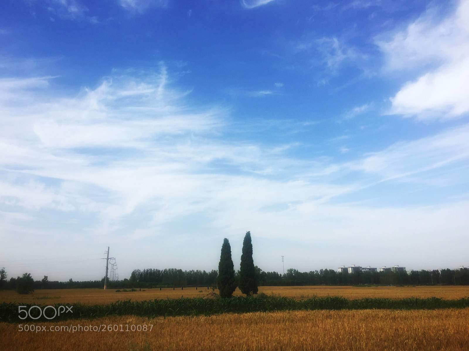 Apple iPhone 6 sample photo. Homeland photography
