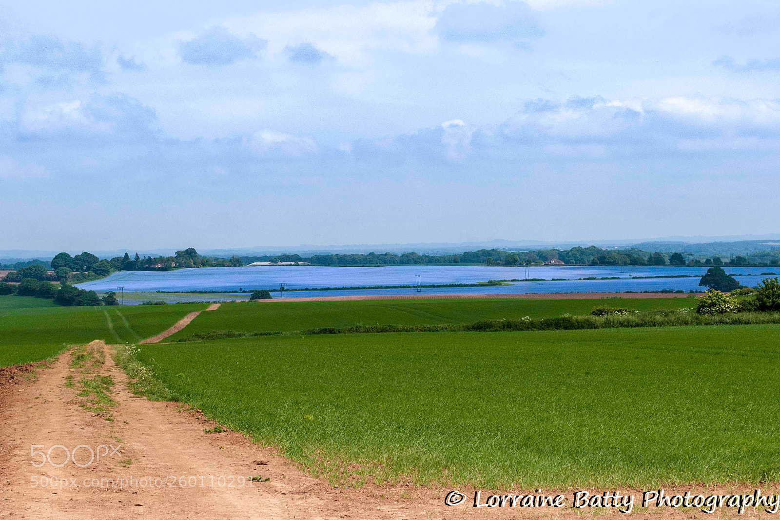 Nikon D3000 sample photo. Linseed fields photography