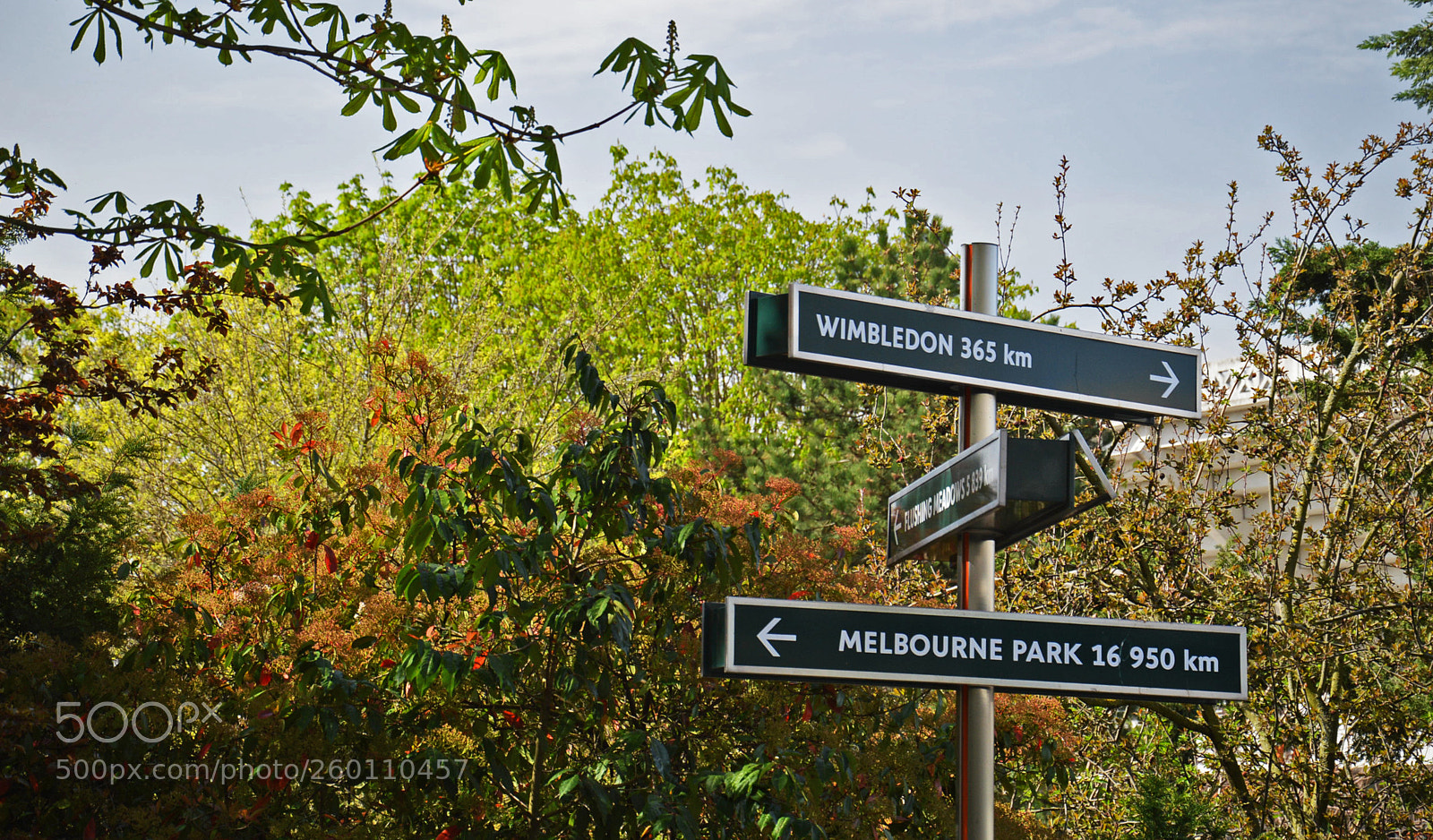 Nikon D3200 sample photo. Roland garros puis wimbledon photography