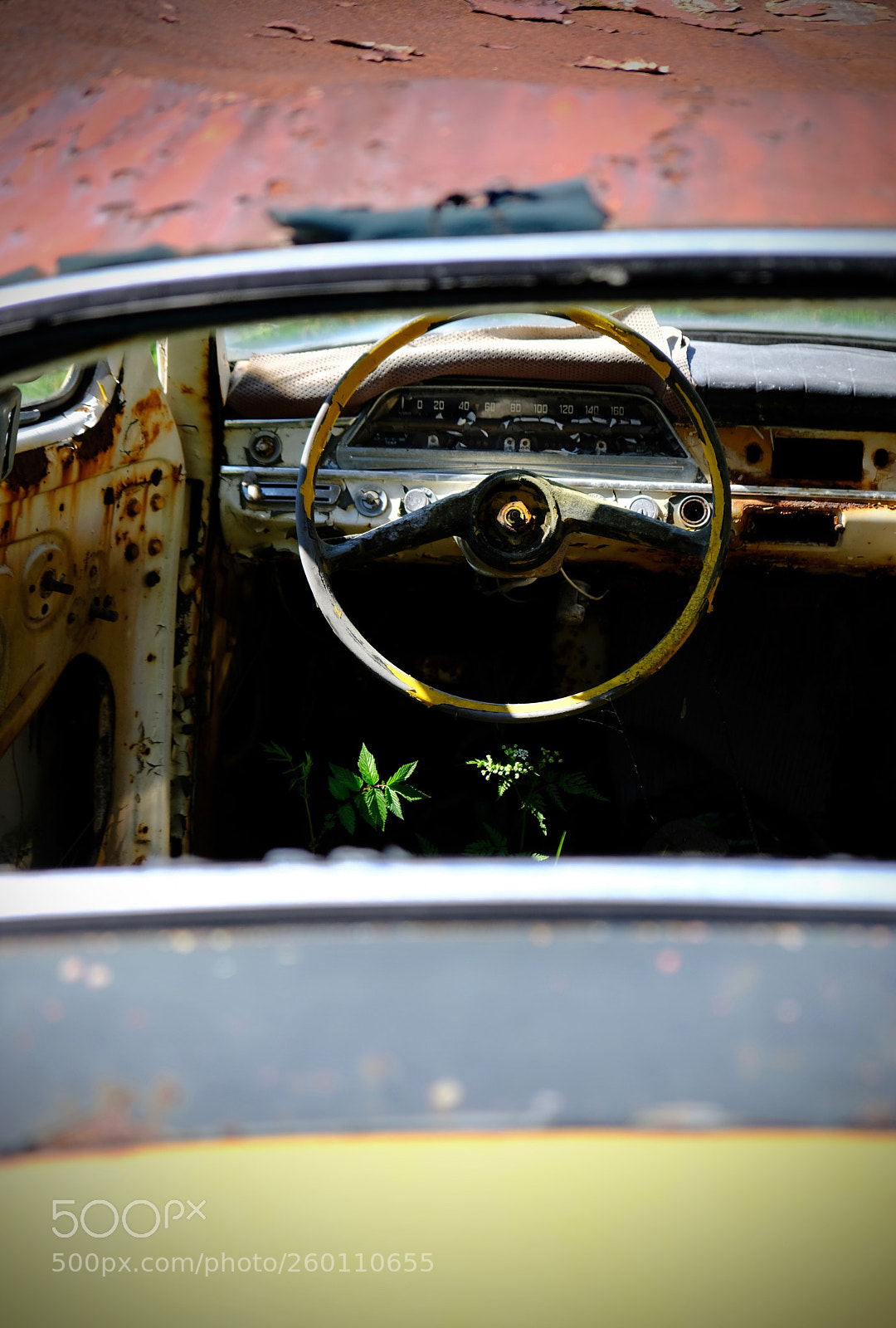 Fujifilm X-T20 sample photo. Left to die photography