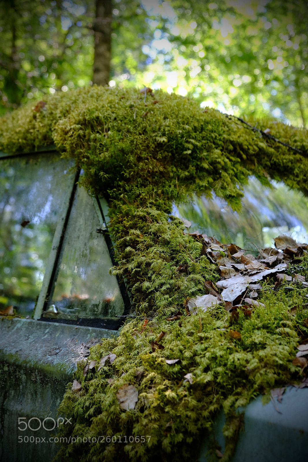 Fujifilm X-T20 sample photo. Left to die photography